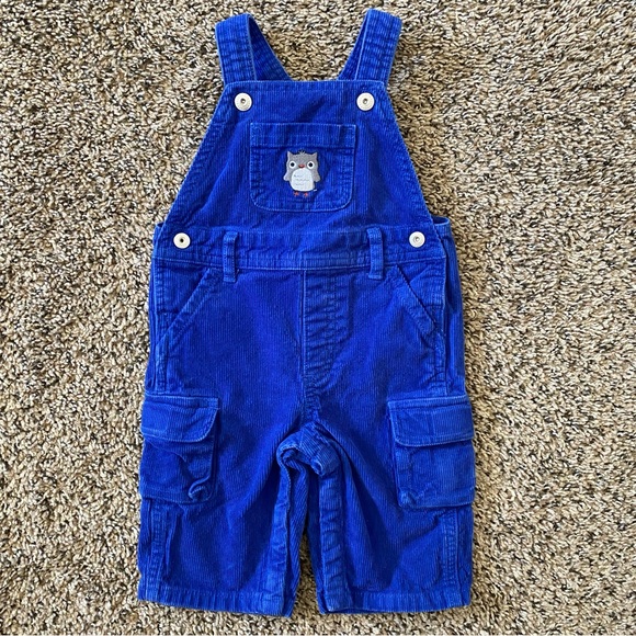 Gymboree Overalls 🦉 - Picture 1 of 6